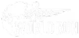 Wings for Life World Run